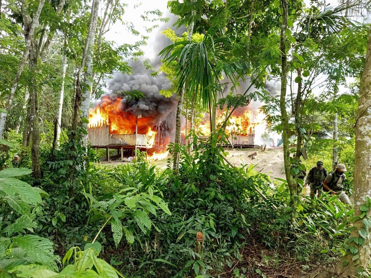 Destrucción de laboratorios de droga en Amazonas.