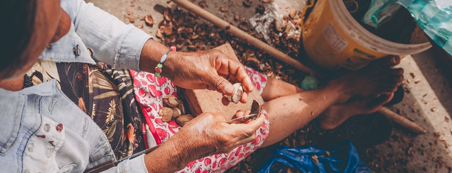 una mujer indígena que rompe nueces de Brasil a mano